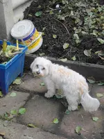 SDC12387.webp
