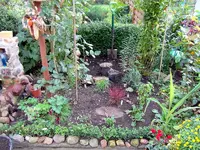 SDC12379.webp