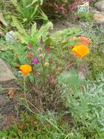 SDC12402.webp