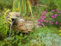SDC12399.webp