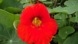 7.10.2010 026.webp
