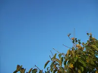 100_2337.webp