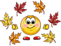 dd52ca7ee7134b2d1c5e2c2f5a88fa9f.gif