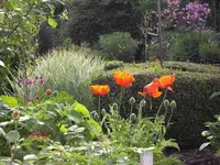 41492-albums1811-picture36706.webp