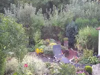 IMGP5376.webp