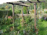 017.webp