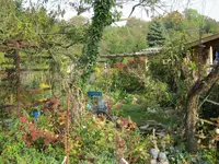 021.webp