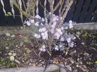 08102010086.webp