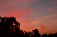 P1060384.webp