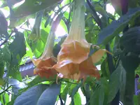 PICT0188.webp