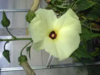 PICT0192.webp