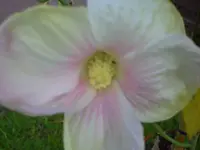 PICT0194.webp