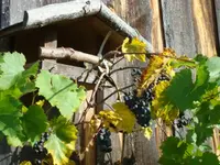 2010 10 08 004.webp