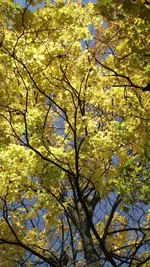 08.10.2010 020.webp