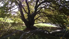 08.10.2010 048.webp
