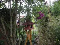 GARTENBILDER 2010_0157.webp