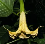 675_ET_875.webp