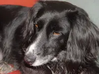 moppel-portraet-am-10.05.webp