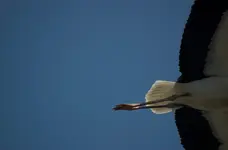 DSC_6906.webp