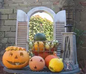 Herrlicher Herbsttag.webp