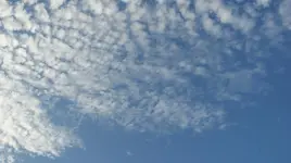 DSC04266.webp