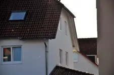 fliegen1.webp