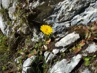 Garmisch 3.webp