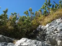 Garmisch 5.webp