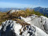 Garmisch 8.webp