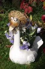 Garten 025.webp