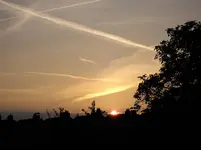 IMGP4805.webp
