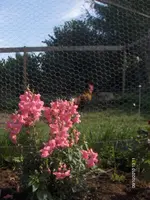 HPIM5507.webp