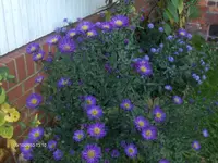 HPIM5502.webp
