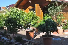 nurso6.webp
