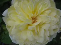027.webp
