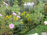 SDC12407.webp