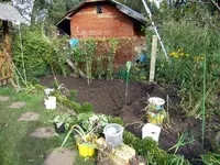 SDC12410.webp