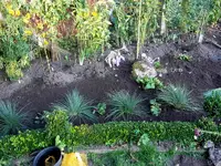 SDC12442.webp