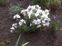 05-08-10_0703.webp