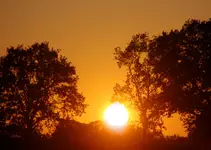 DSC_6434.webp