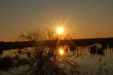 DSC_6589.webp