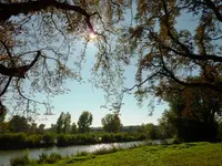 PHerbst_1.webp