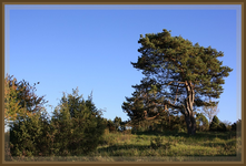 10.10 (20).webp