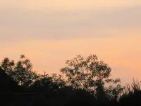 36498.webp