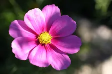 Img_1735.webp