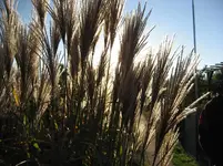 IMG_3074.webp