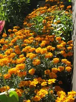 IMG_3067.webp