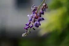 comp_IMG_6353.webp