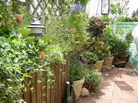 DSCN0111.webp