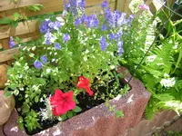 DSCN0888.webp